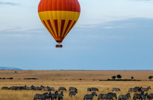 11 Days Kenya and Tanzania Migration wildlife safari 