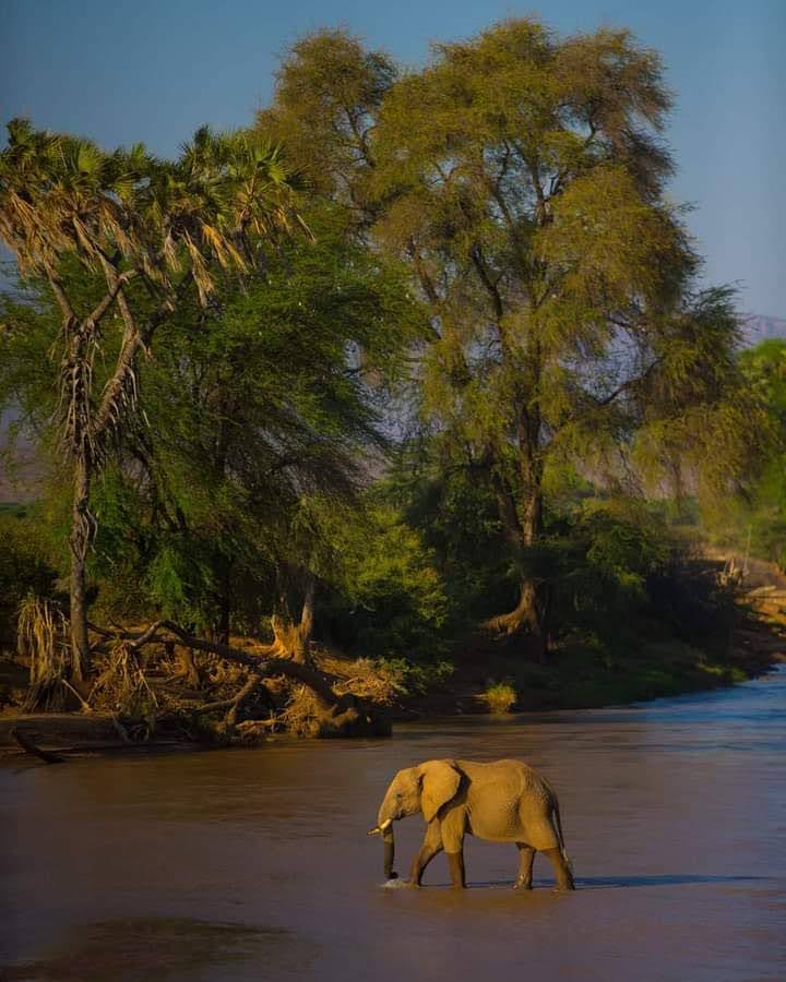 5-days-serengeti-safari-2025-2026