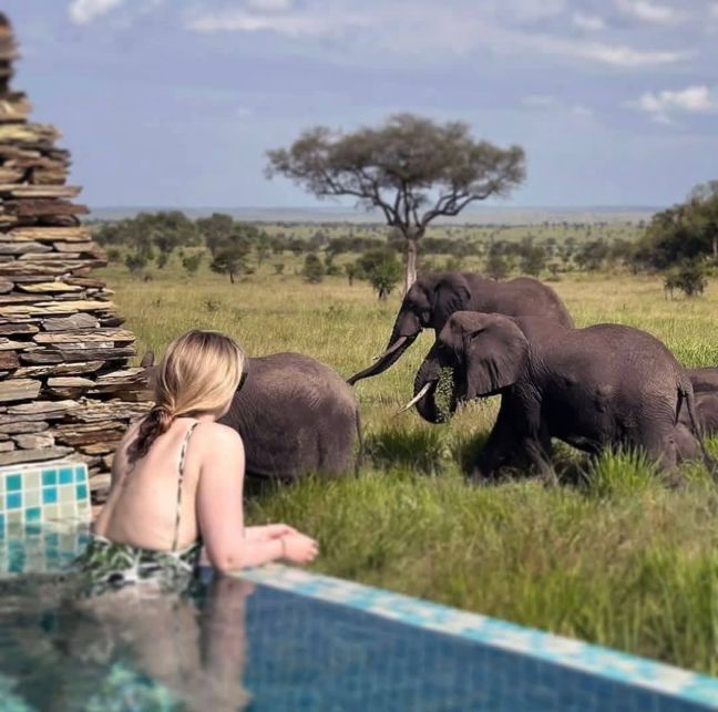 7-days-tanzania-wildlife-safaris-2025-2026