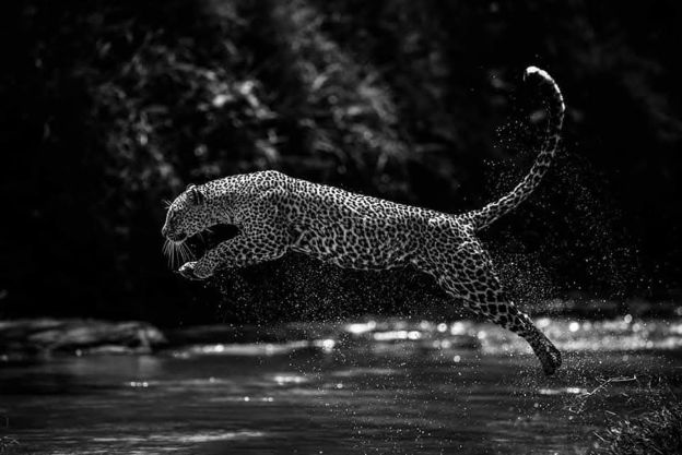 Kenya + Tanzania Combo Group Budget Safaris 