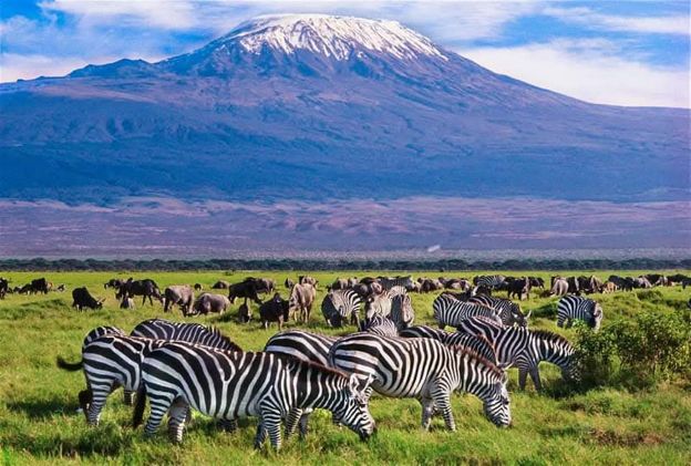 Our top 10 Best Tanzania Safari Tours 
