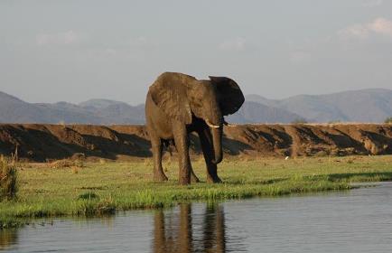  Rwanda Tour Package 7Days