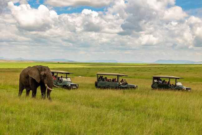 Uganda Budget Safaris 