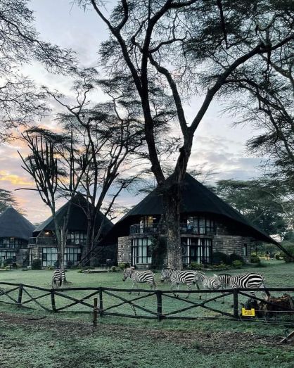 maasai-mara-budget-migration-safaris-2025