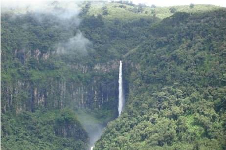 aberdare-national-park