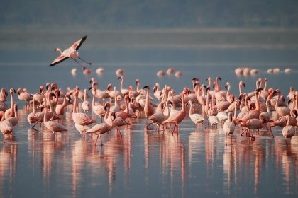 Lake Naivasha Gateways 2 days