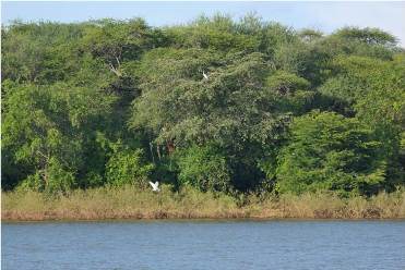 Samburu-National-reserve